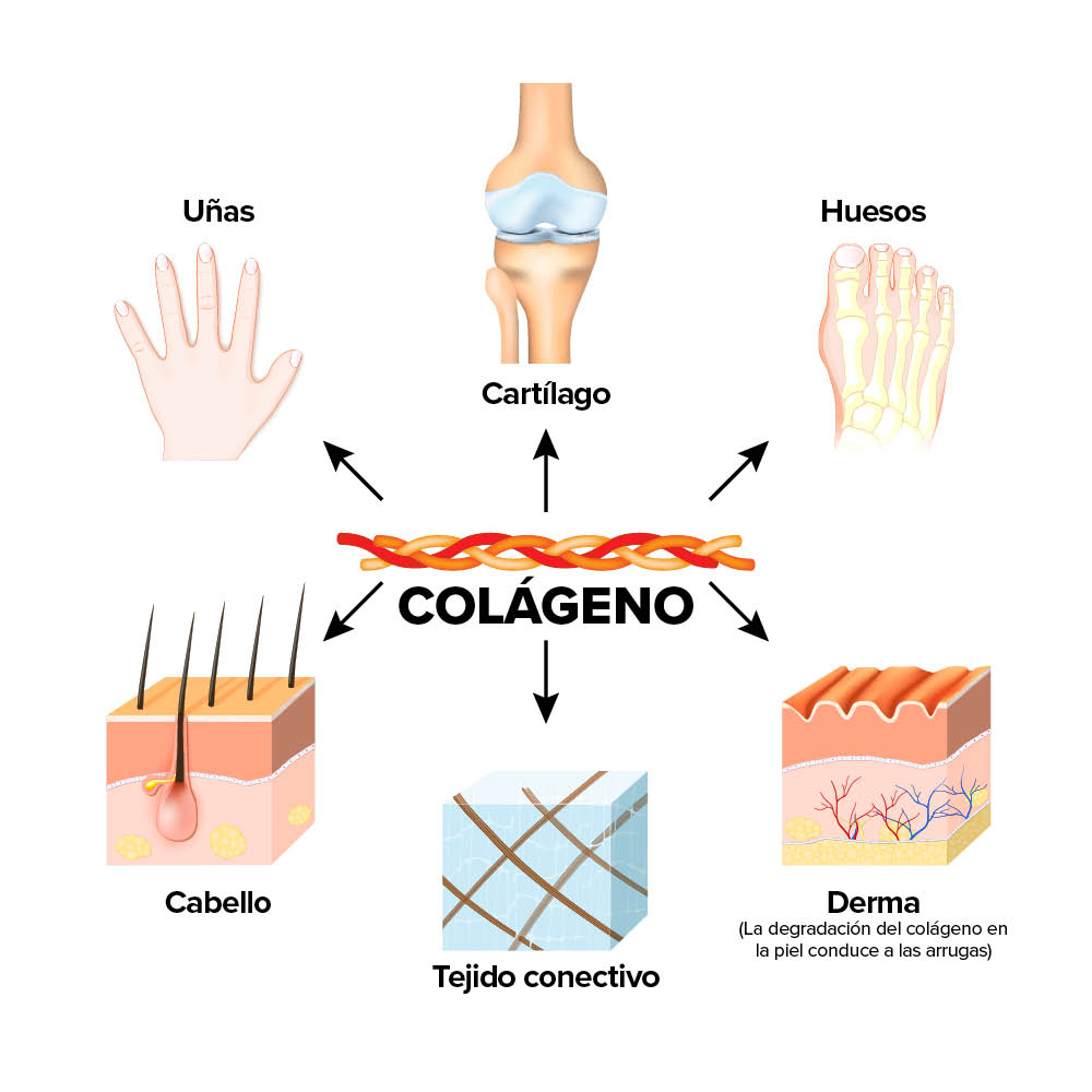 CollagenActiv